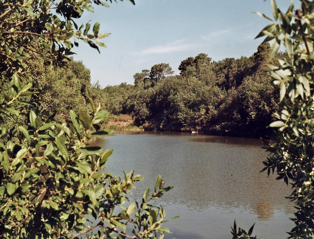 Abbaye De Capservy Villardonnel エクステリア 写真